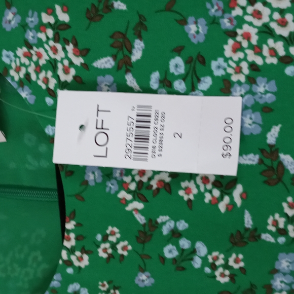 LOFT Green Dress w/Blue Floral Pattern Women's Size 2 NWT - Picture 4 of 5
